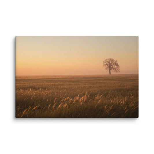 Minimalist wall art of a lone tree in a golden sunlit field, nature - inspired print with warm earthy tones.